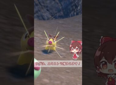 [即厳選]波動ビートから出たレアカードを色違い厳選してみた！ #shorts #ポケモン #ポケモンsv
