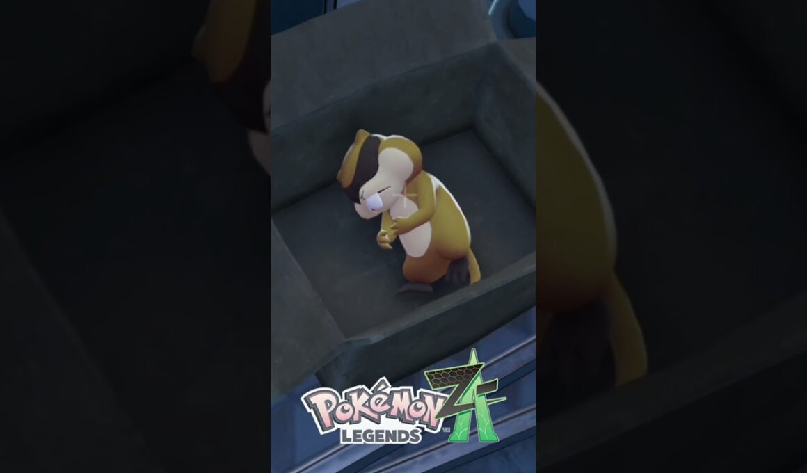 箱の中で眠るミネズミが可愛い『Pokémon LEGENDS Z-A』#ポケモン #shorts