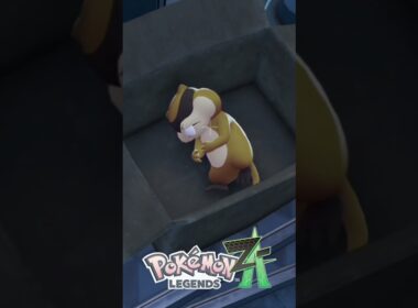 箱の中で眠るミネズミが可愛い『Pokémon LEGENDS Z-A』#ポケモン #shorts