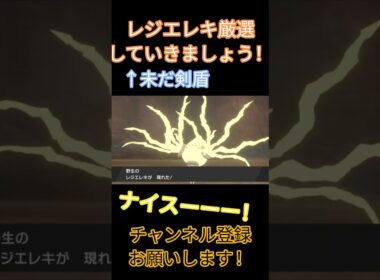 イマサラタウンなレジエレキ厳選in剣盾