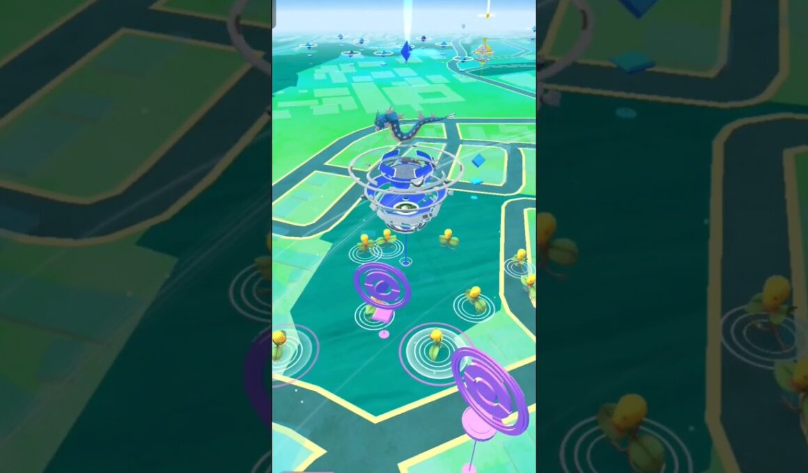 マダツボミコミュニティデイ#コミュニティデイ #ポケモンgo #pokemon #色違い