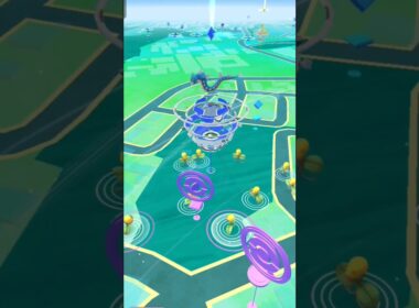 マダツボミコミュニティデイ#コミュニティデイ #ポケモンgo #pokemon #色違い