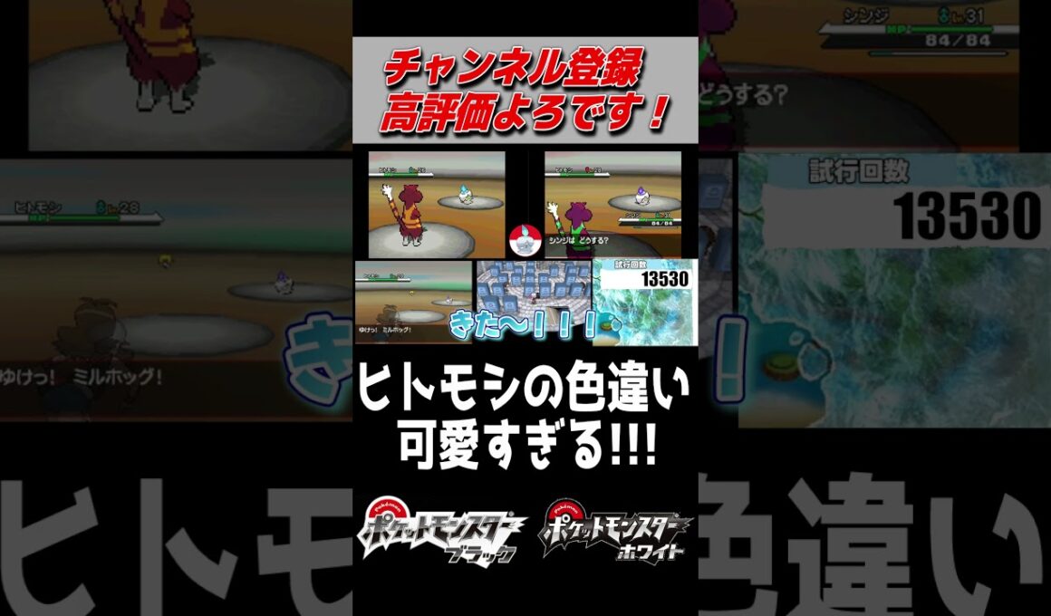 色違いのヒトモシはやっぱり可愛すぎ！【ポケモンBW】#shorts #ポケットモンスター #ポケモン #色違い #色違い厳選