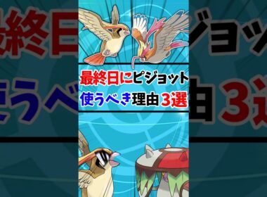チャンピオンズ最終日にピジョットを使うべき理由3選！【ポケモン】#ポケモン #ポケチャン
