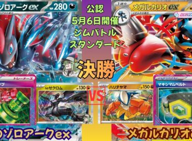 【ポケカ対戦】 Nのゾロアークex vs. メガルカリオex　ジムバトル 決勝戦