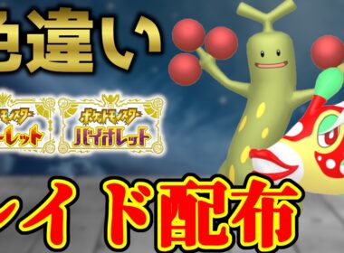 【ダブル配布】 色ウソッキー＆色ハギギシリ配布 shiny raid 【ポケモンSV】#参加型配信