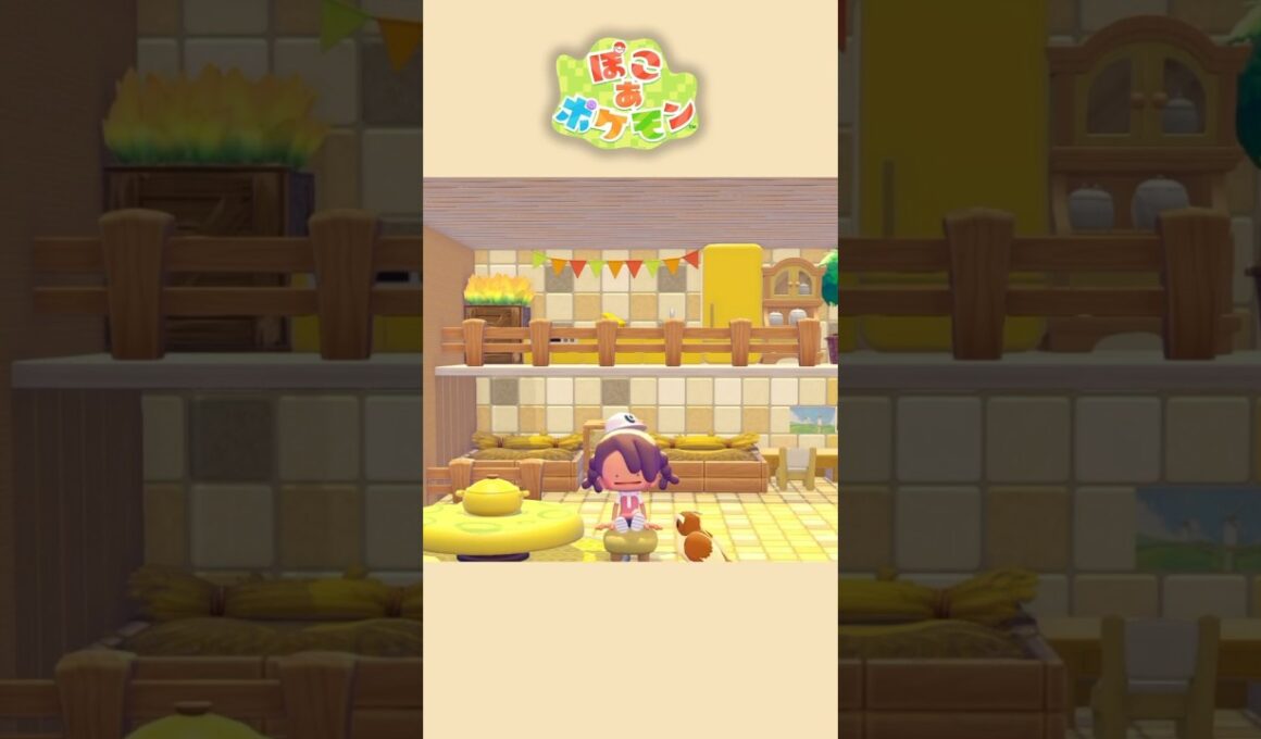 【ぽこあポケモン】ポッポとピジョンのお部屋🐦
