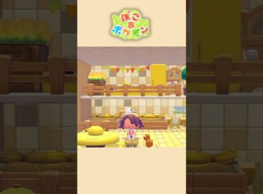 【ぽこあポケモン】ポッポとピジョンのお部屋🐦