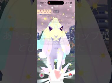 【難易度低】つよいガラルギャロップ(通常も)極小サークルクリティカルゲット【ポケモンGO】