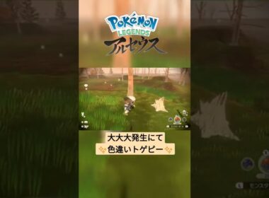 【色違い】Pokémon LEGENDS アルセウス『トゲピー』大大大発生にて色違い✨ #shorts