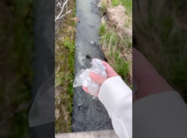 おにぎりの袋を捨ててみたw