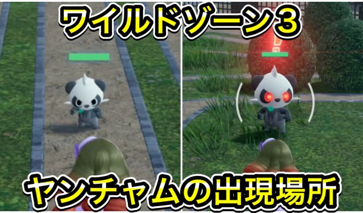 ワイルドゾーン３にいるヤンチャムの入手方法！