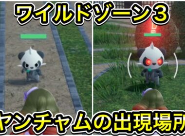 ワイルドゾーン３にいるヤンチャムの入手方法！