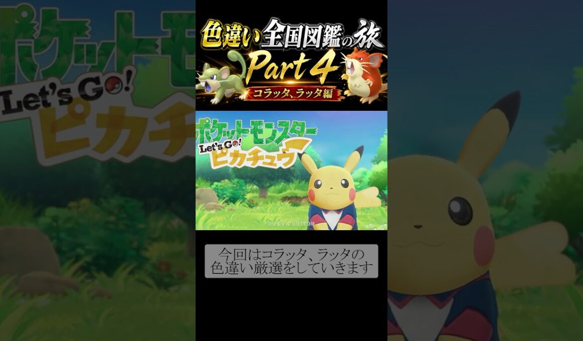＜色違い全国図鑑の旅Part4＞コラッタ、ラッタ♂♀両方色違い厳選！！！まさかの7体のコラッタを捕まえることに？　#ポケモン  #pokemon  #色違い #配布