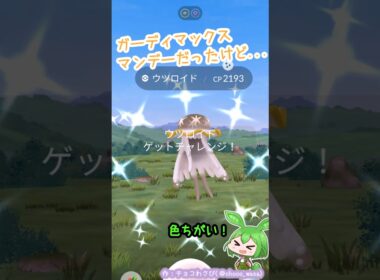【ポケGO】ガーディマックスマンデーのつもりが…そっち？！🪼