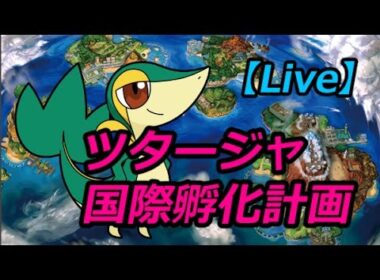 【Live】ツタージャちゃん国際孵化します！！