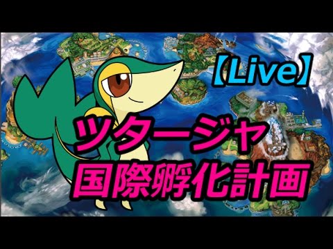 【Live】ツタージャちゃん国際孵化します！！