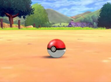 「ポケモン剣盾」半盲人のゲーム実況 配信切り抜きカムカメ、果たして証はついたのか！？(2021.11.11)