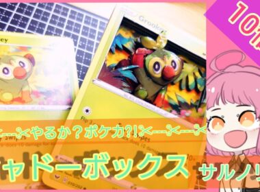 【ポケカ】初心者向けシャドーボックス！サルノリ編立体的にできました！【シャドーボックス】
