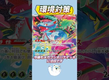 【要注意】いきなりワンパン、現環境に強い。メガフシギバナの構築を紹介！【ポケカ/ポケモンカード】