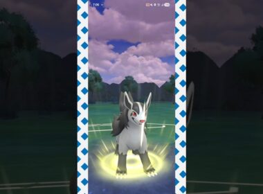 #通常グラエナでもゴリゴリに削れる強さ！#ポケモンgo #ポケモン #pokemongo