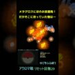 メタグロスを焼く【ポケモンBW2】#ポケモン #shorts #ゆびをふる
