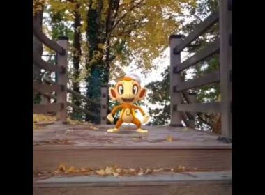 불꽃숭이 ( Chimchar ) ヒコザル ( 小火焰猴 )