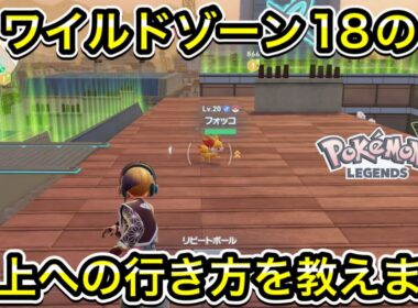 ワイルドゾーン18の屋上への登り方！フォッコの場所まで案内します！