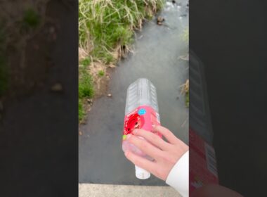 ペットボトルを捨ててみたw