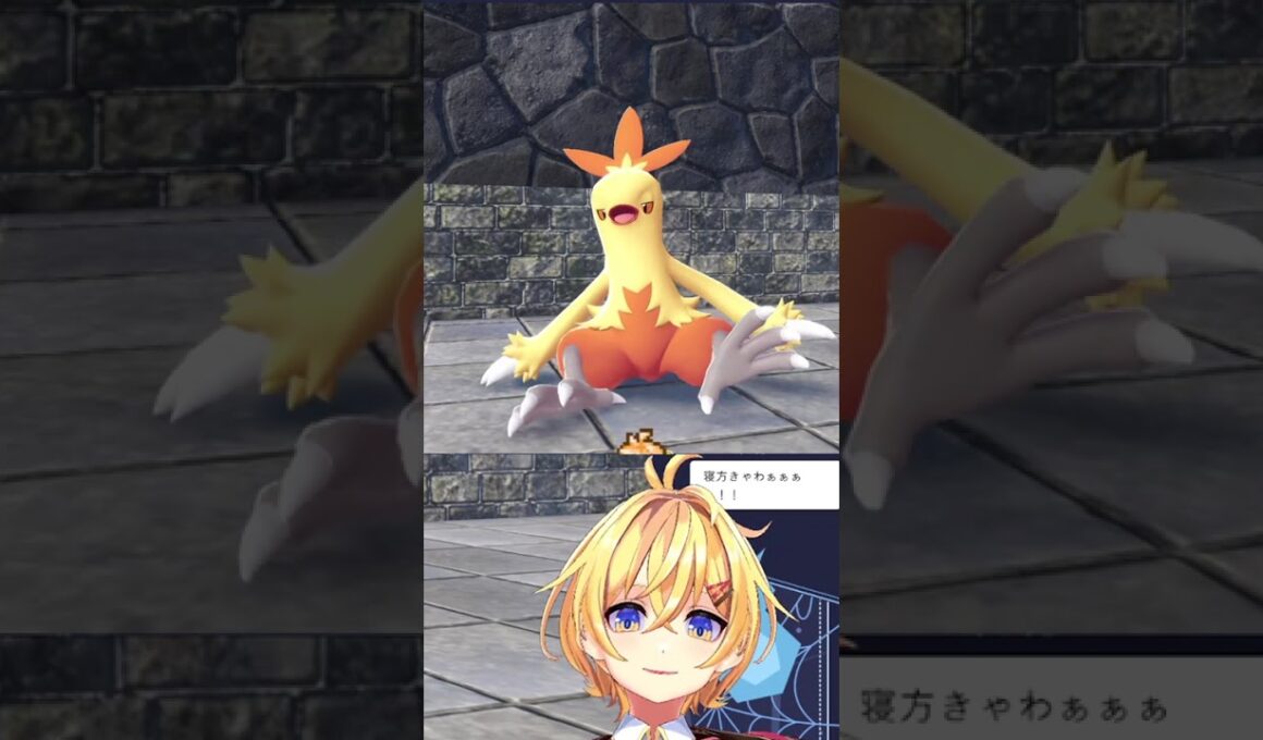 【#PokemonLegendZA #ポケモンZA】ワカシャモ 観察【Vtuber もちぴよ】