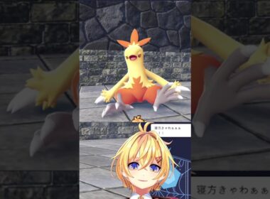 【#PokemonLegendZA #ポケモンZA】ワカシャモ 観察【Vtuber もちぴよ】