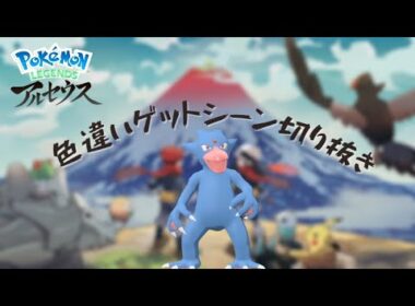 【アルセウス】ストーリー中に色違い出るのうれしすぎる（ゴルダック）#short