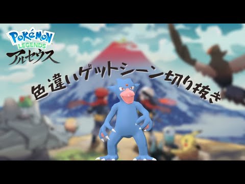 【アルセウス】ストーリー中に色違い出るのうれしすぎる（ゴルダック）#short