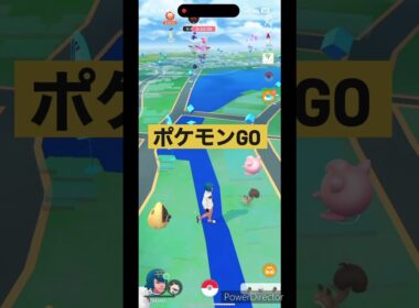 アシマリ色違い✨タスク産 #pokemongo #ポケモンgo #pokemon #ポケモン