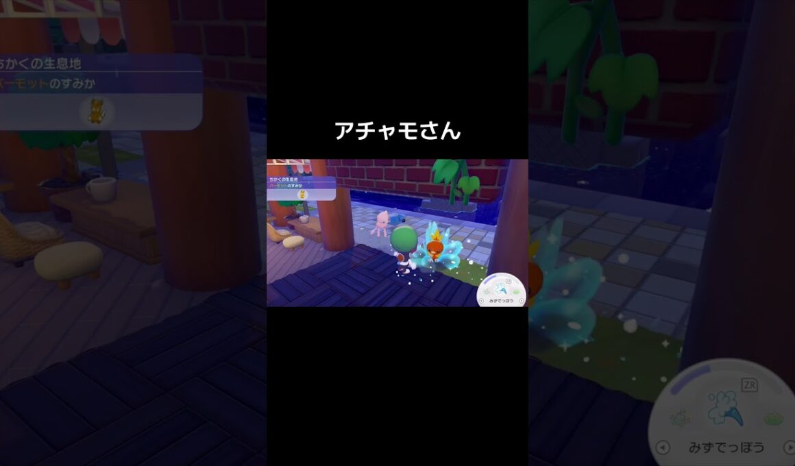 アチャモさん#shorts【ぽこあポケモン】