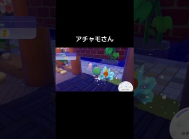 アチャモさん#shorts【ぽこあポケモン】