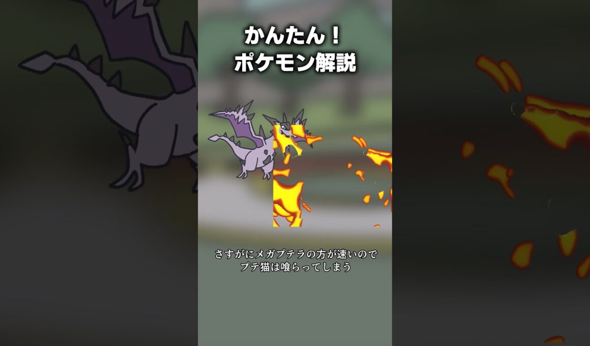 かんたん！メガプテラ対策　#ポケモン