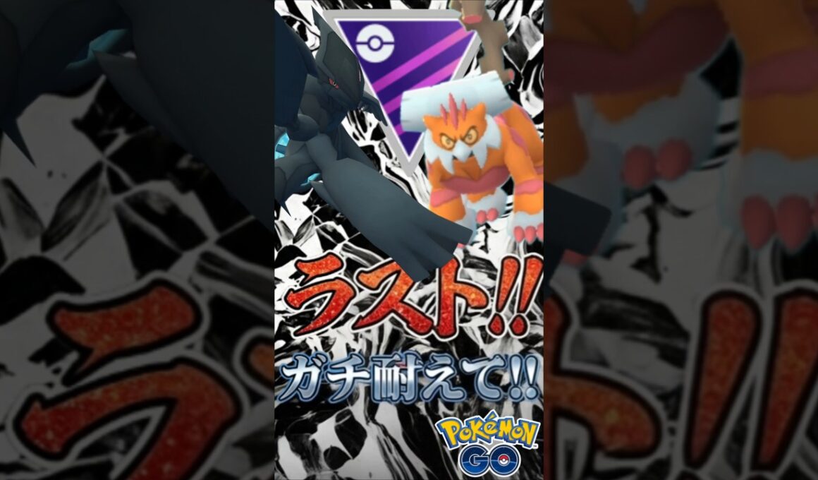最後魅せる漢「ゼクロム」!【ポケモンGO】【GOバトルリーグ】【マスターリーグ】
