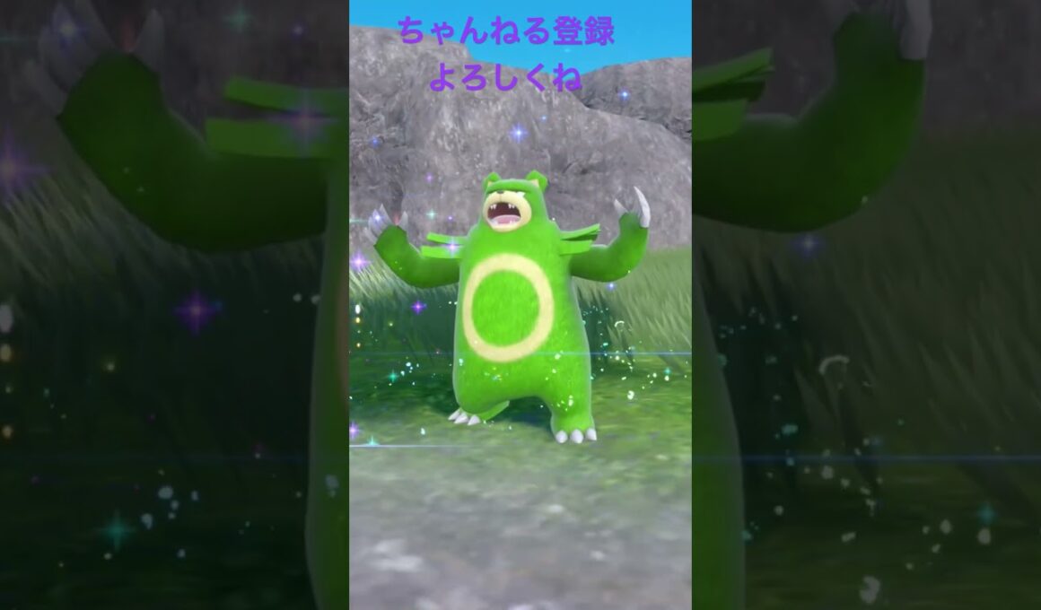 色違いヒメグマ進化 #ポケモン #色違いポケモン #ポケモンsv