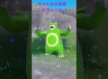色違いヒメグマ進化 #ポケモン #色違いポケモン #ポケモンsv