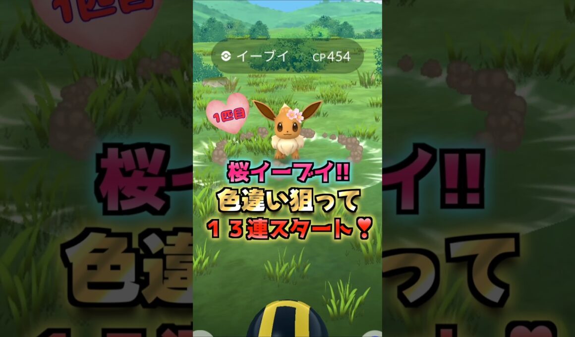 色違い桜イーブイ１３連♪春の遠足タスク開封!!【ポケモンGO】