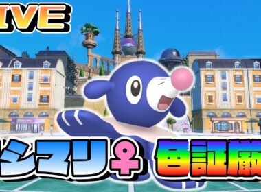 アシマリ♀色証延長戦！【ポケモンSV】