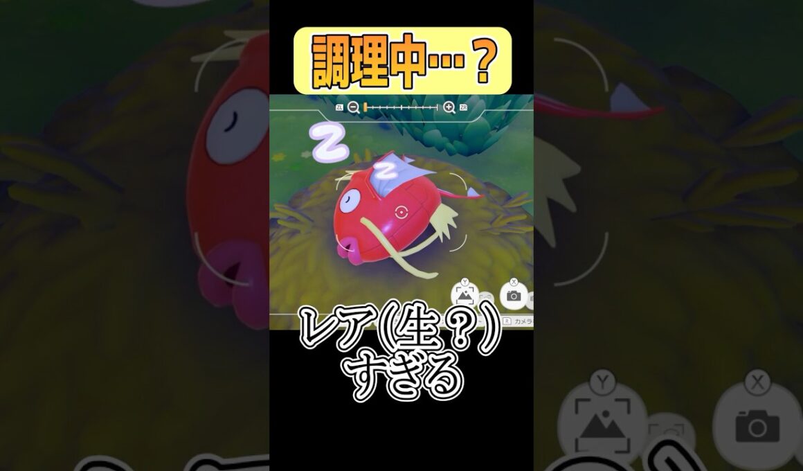 【ぽこあポケモン】レアすぎる（ダブルミーニング） #shorts #ぽこあポケモン #コイキング