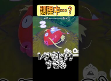 【ぽこあポケモン】レアすぎる（ダブルミーニング） #shorts #ぽこあポケモン #コイキング