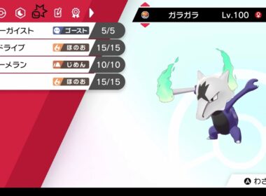 【シングル】アローラガラガラでパッチラゴン完封？【ポケモン剣盾】