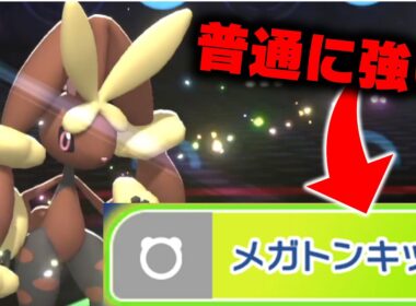 メガミミロップでメガトンキックを打つ男【ポケモンチャンピオンズ】