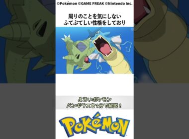 ポケモン 1分でわかるバンギラスに関する雑学・豆知識 Pokemon #ポケモン #pokemon #ポケットモンスター