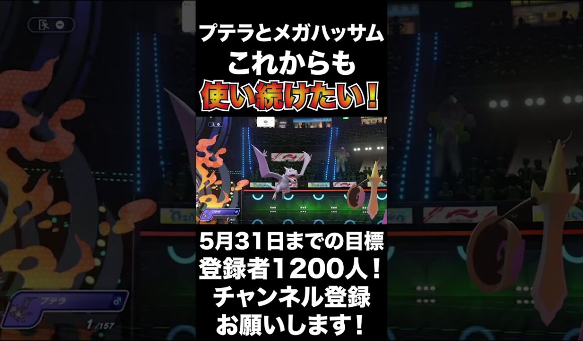 【ナイス】メガハッサムとプテラのコンビも使いたい！ナイスコンビですね！【ポケモンチャンピオンズ】#shorts #ポケモンチャンピオンズ #生配信切り抜き