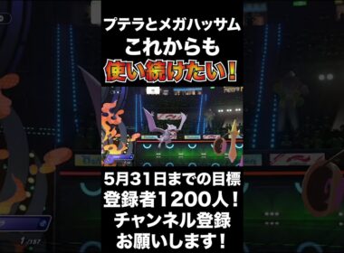 【ナイス】メガハッサムとプテラのコンビも使いたい！ナイスコンビですね！【ポケモンチャンピオンズ】#shorts #ポケモンチャンピオンズ #生配信切り抜き