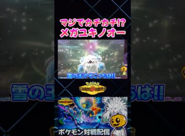 天候仕様が変更されて昔より更に耐久力が強化されたメガユキノオーが強すぎるｗ【切り抜き】 【ポケモンチャンピオンズ】#shorts